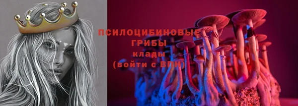 ешки Туринск