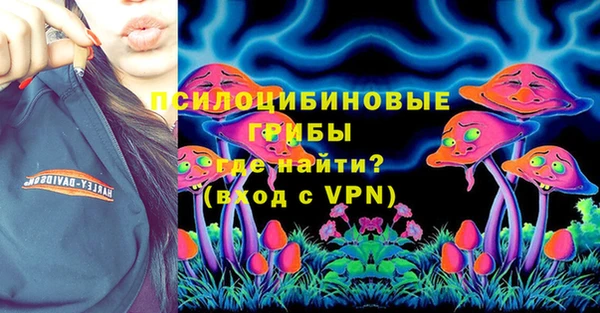 соль ск Надым
