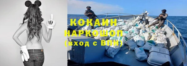 ешки Туринск