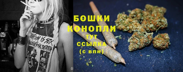 ешки Туринск