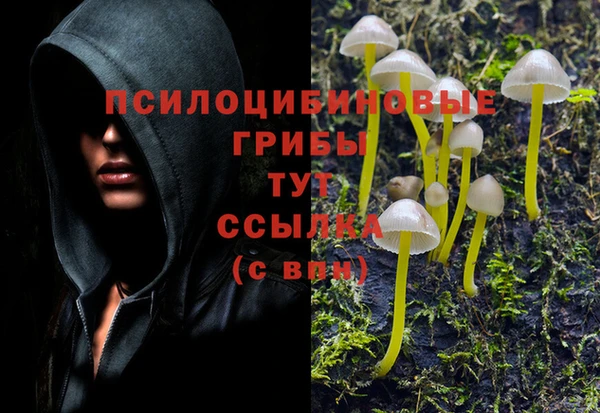ешки Туринск