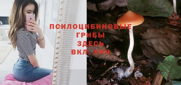 крисы Навашино
