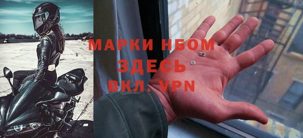 хмурый Ельня
