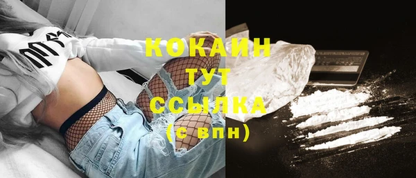 соль ск Надым