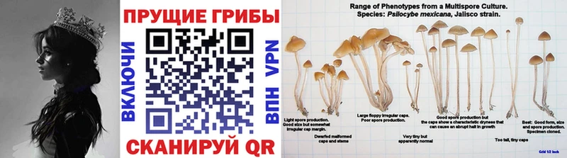 Галлюциногенные грибы Magic Shrooms Алдан